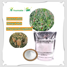 X-Humate Iba Rooting Hormones Iba Agrochemical